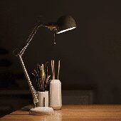 Lamp and lighting